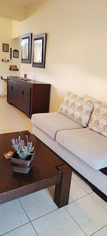 Holiday & Business Furnished Apartments ミティカス エクステリア 写真